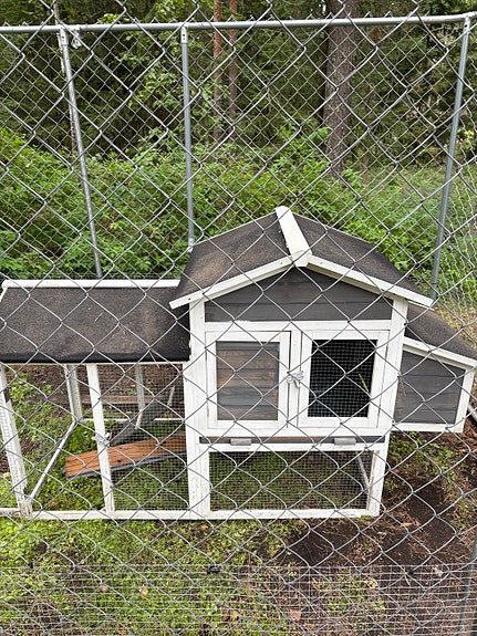 Kanan-/kaninkoppi ulkohäkki