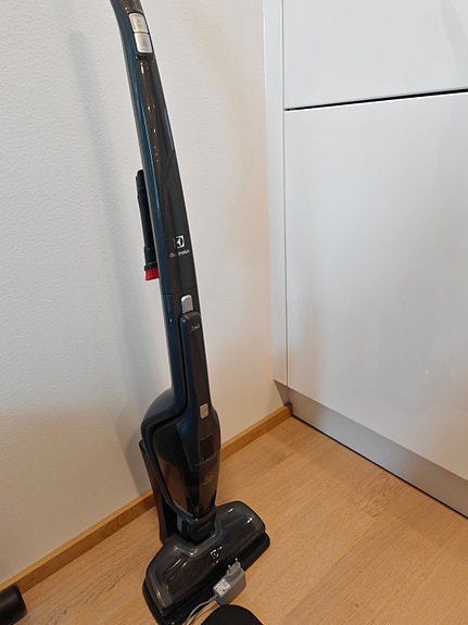 Electrolux Ergorapido varsi-imuri EER73IGM