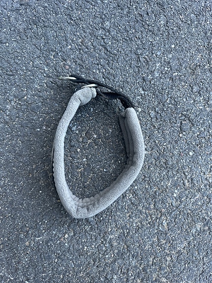 Harmaa koiran panta heijastimilla