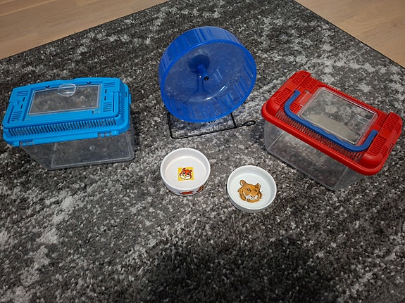 Hamsterin tarvikkeita