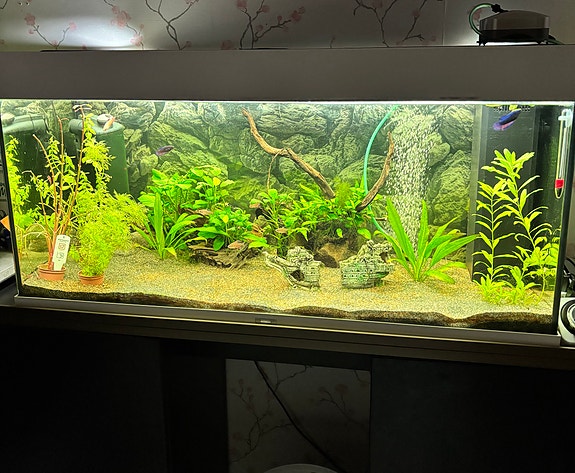 Akvaario paketti Juwel 180L