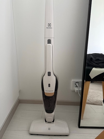 Electrolux Ergorapido-varsi-imuri