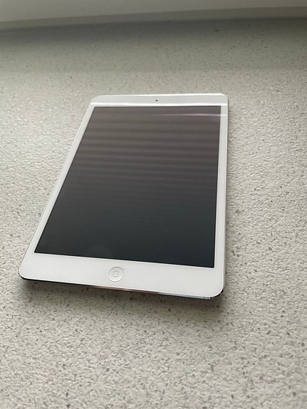 iPad mini 2 Wi-Fi + Cellular