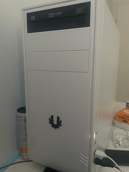 Acer pelikone