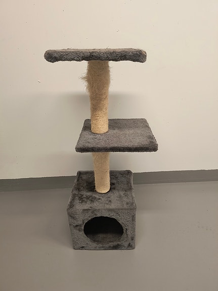 Harmaa raapimapuu kissalle