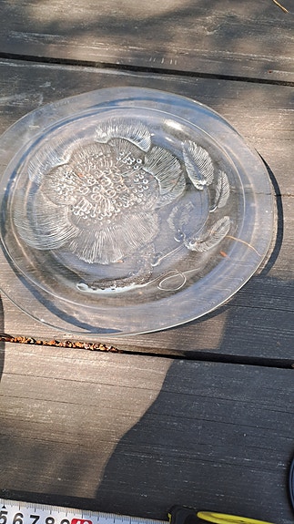 Nuutajärven Pioni lasilautanen 26cm Oiva Toikka 6kpl