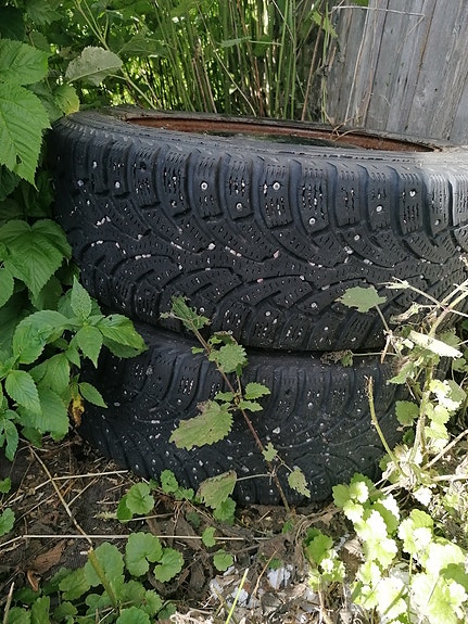 - 205 55 16 Bridgestone talvirenkaat 2kpl