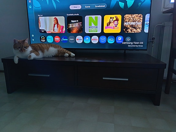 Puinen TV-taso