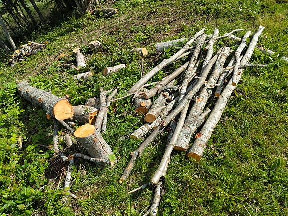 Leppää, polttopuuta
