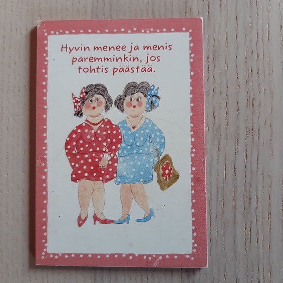 Jääkaappimagneetti Hyvin menee ja menis paremminkin jos tohtis päästää