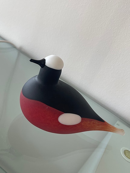 Oiva toikka vuorileppälintu