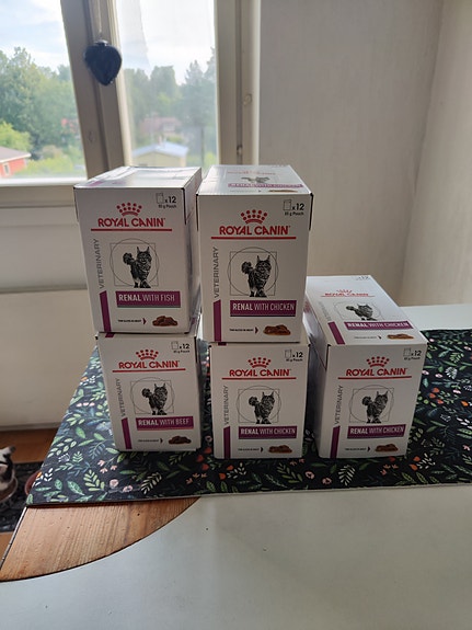 Royal Canin Renal märkäruokia