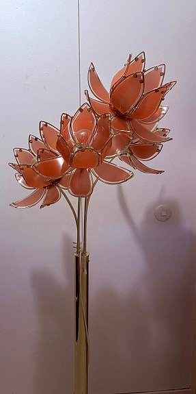 Lotus Lattiavalaisin