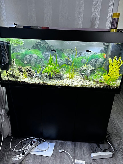 240 l juwel