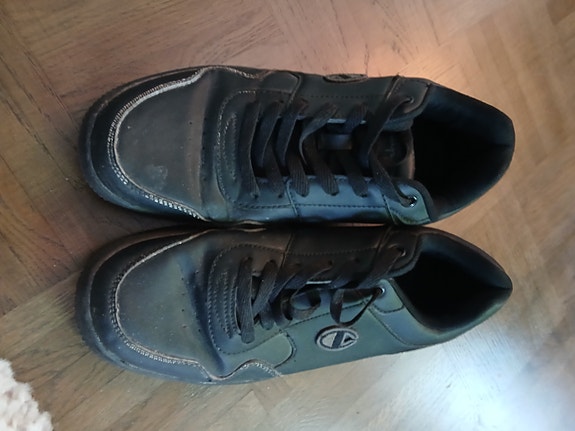 Champion lenkkarit koko 41