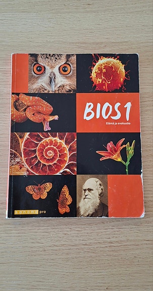 BIOS 1
