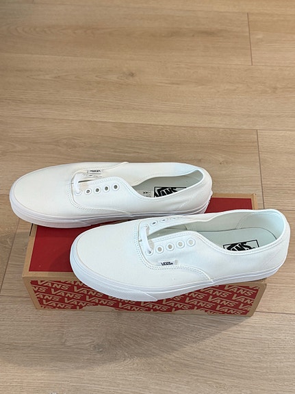 Vans Authentic White 43