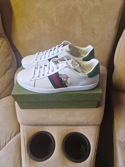 Gucci ace low kitten