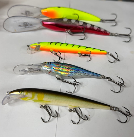 Rapala vaaput