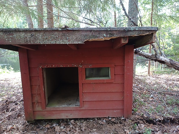 Kaksi puista koirankoppia pihalle