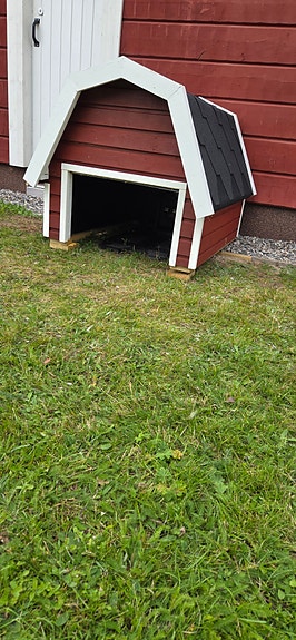 Robottiruohonleikkurin talo punainen