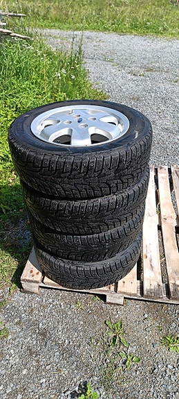 Ford Focus nastarenkaat