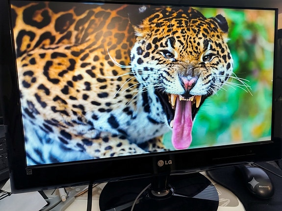 Hyväkuntoinen LG 22" Full HD -näyttö (LED)