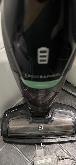 Electrolux Ergorapido Green varsi-imuri