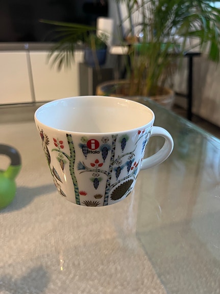 Iittala Taika kuppi pieni