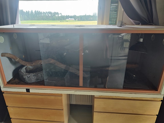 Iso terraario tarvikkeineen