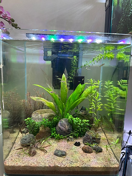 Nano tank