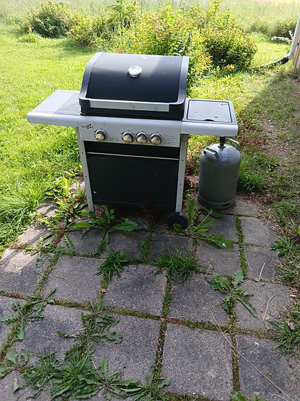 kaasu grilli