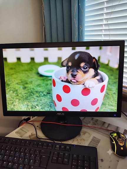ASUS 22" Full HD -näyttö (LED)