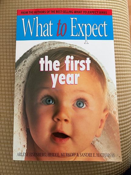 What to Expect the First Year - opaskirja vauvan ensimmäiseen vuoteen