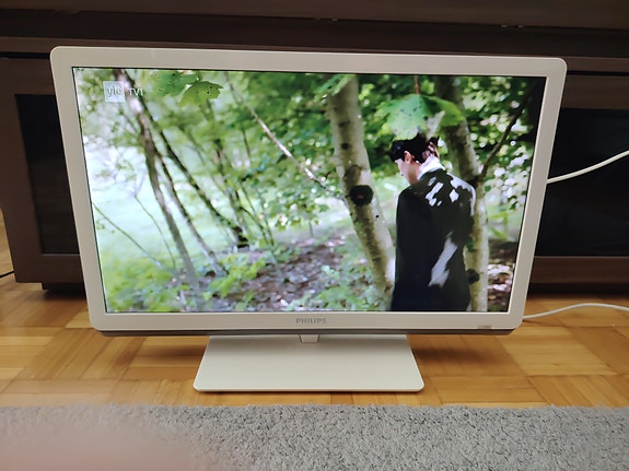 Philips 22PFL3517T/12 22" televisio valkoinen