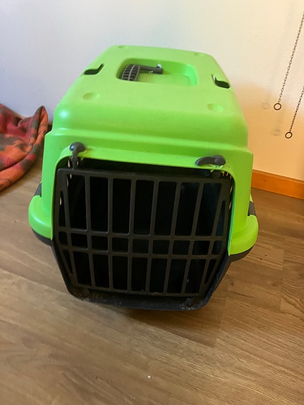 Pienen koiran/kissan kuljetusboxi