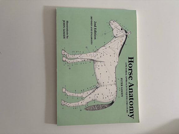 Hevosen anatomia -kirja