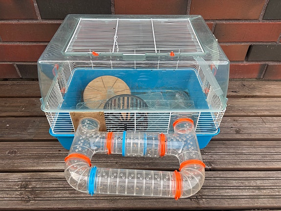 Hamsterin häkki