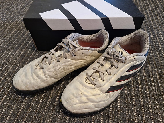 Adidas Copa Pure II League TF nappikset 35