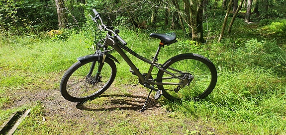 Poikien 24 pyörä
