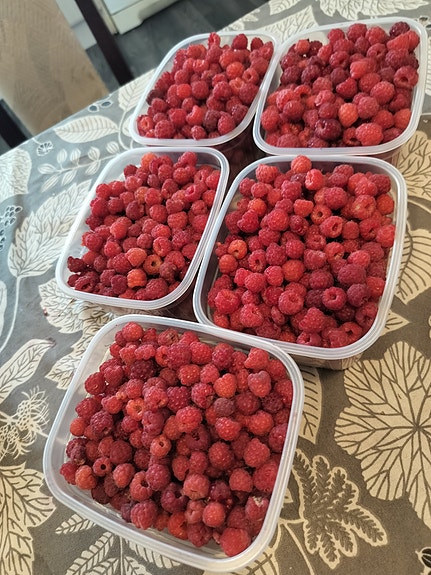 Vadelmia myytävänä