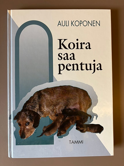 Koira saa pentuja. Auli Koponen