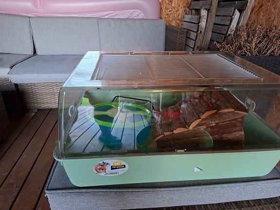 Hamsterin häkki