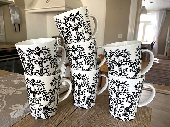 Iittala Taika mukit