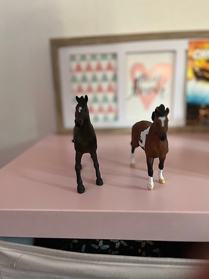 Schleich