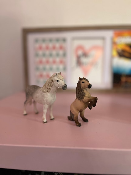Schleich