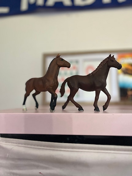 Schleich