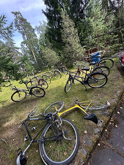 Pyörä 10-11 kpl- Myydään yhdessä tai erikseen!