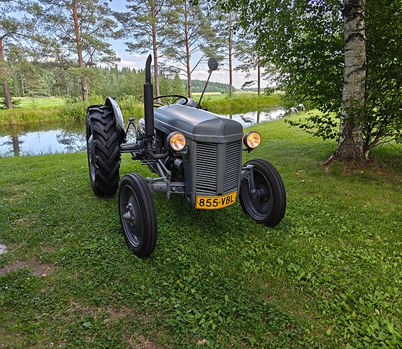 Ferguson Ted-20