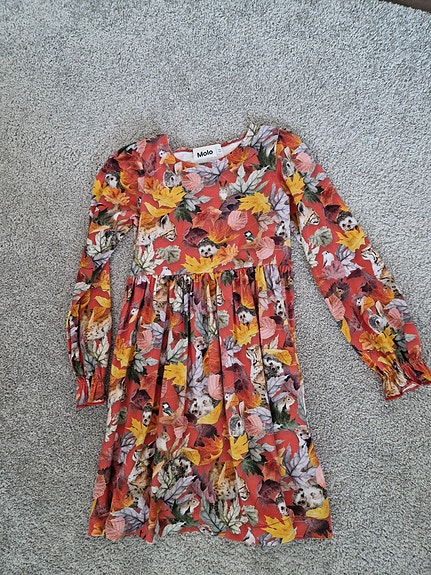 Molon mekko